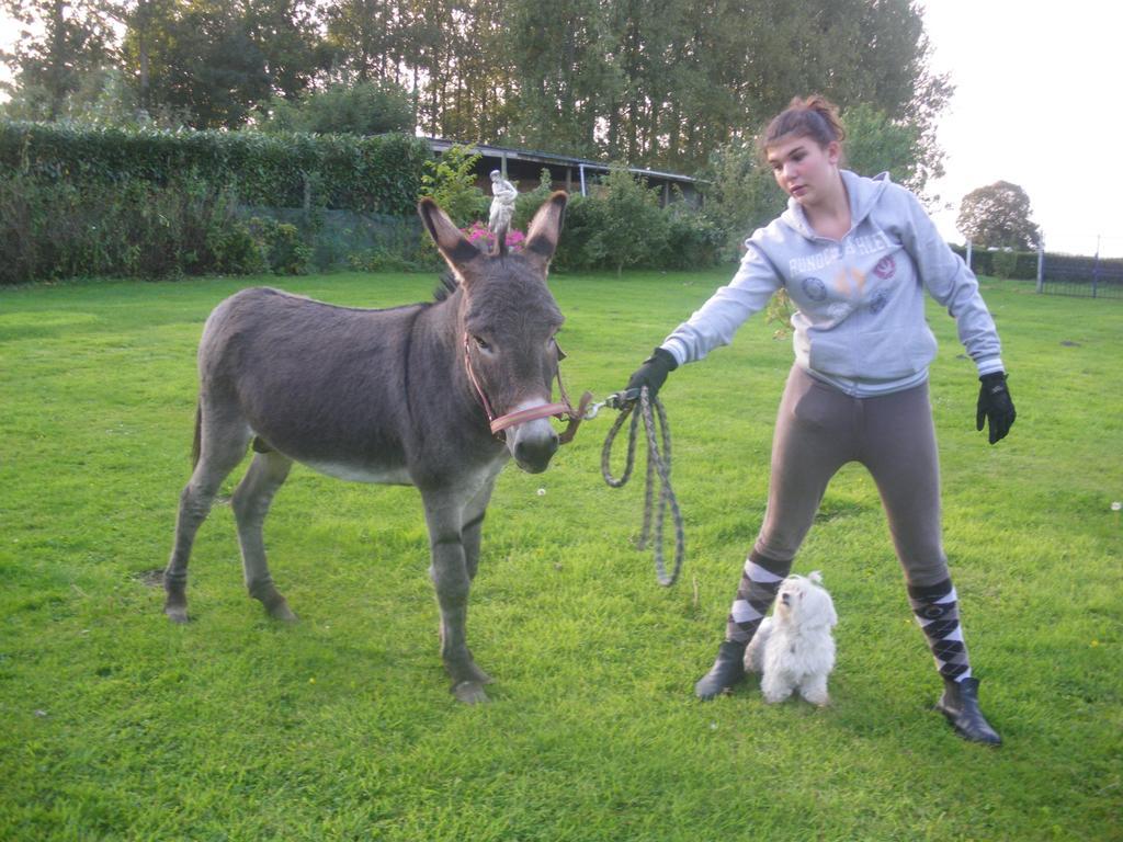 Gite Et Relais Equestre De Marie Tours-en-Vimeu Esterno foto