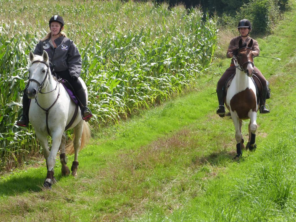 Gite Et Relais Equestre De Marie Tours-en-Vimeu Esterno foto