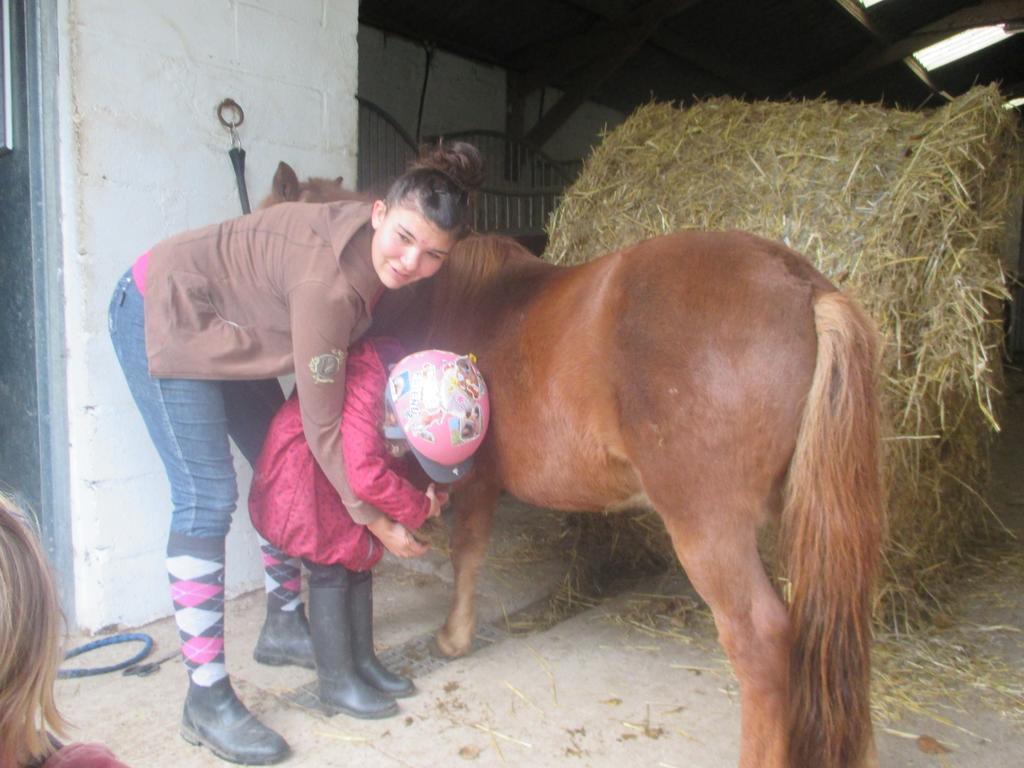 Gite Et Relais Equestre De Marie Tours-en-Vimeu Esterno foto
