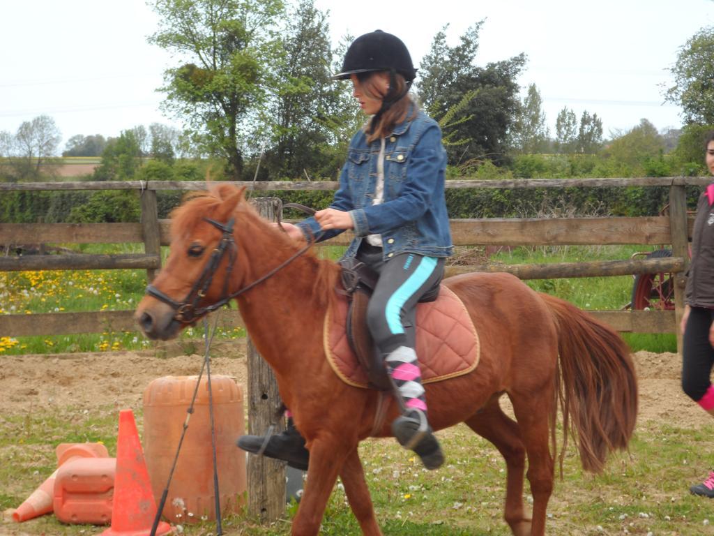 Gite Et Relais Equestre De Marie Tours-en-Vimeu Camera foto