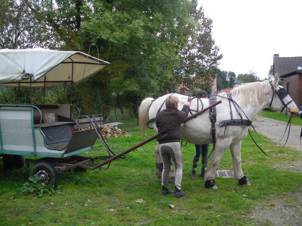 Gite Et Relais Equestre De Marie Tours-en-Vimeu Camera foto