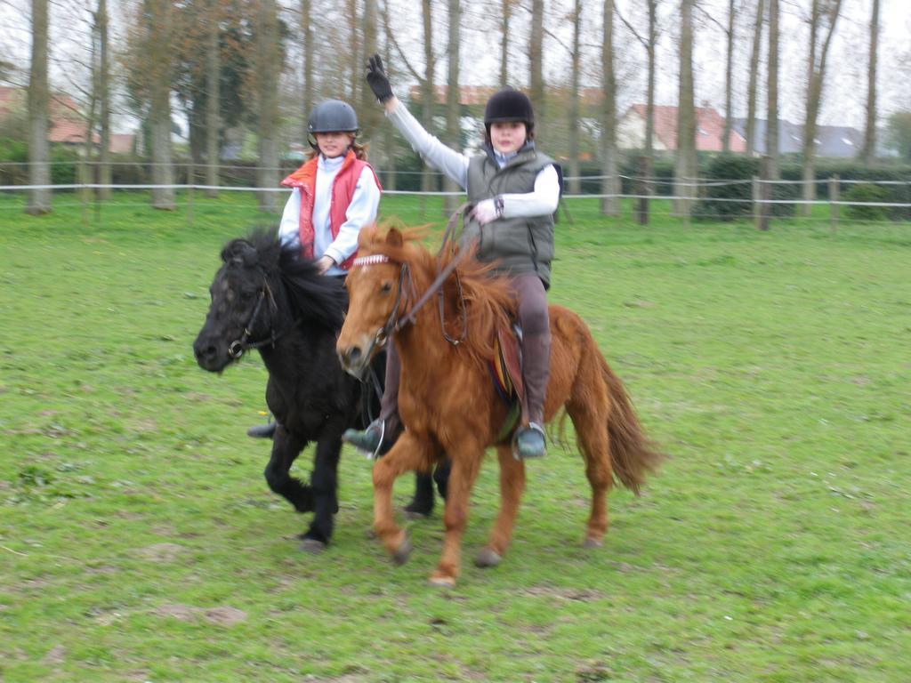 Gite Et Relais Equestre De Marie Tours-en-Vimeu Camera foto