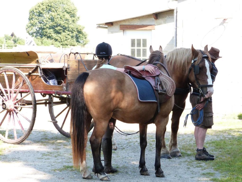 Gite Et Relais Equestre De Marie Tours-en-Vimeu Camera foto