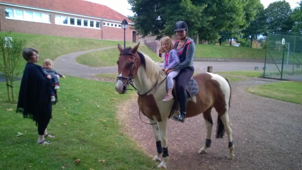 Gite Et Relais Equestre De Marie Tours-en-Vimeu Esterno foto
